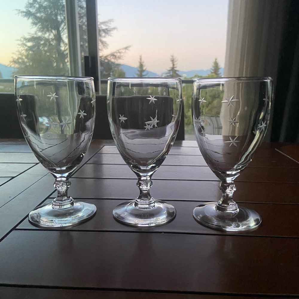Vintage Star Etched Water Goblets